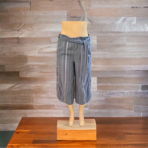 Anthropologie Blue Striped Capris - Picture 2 of 7